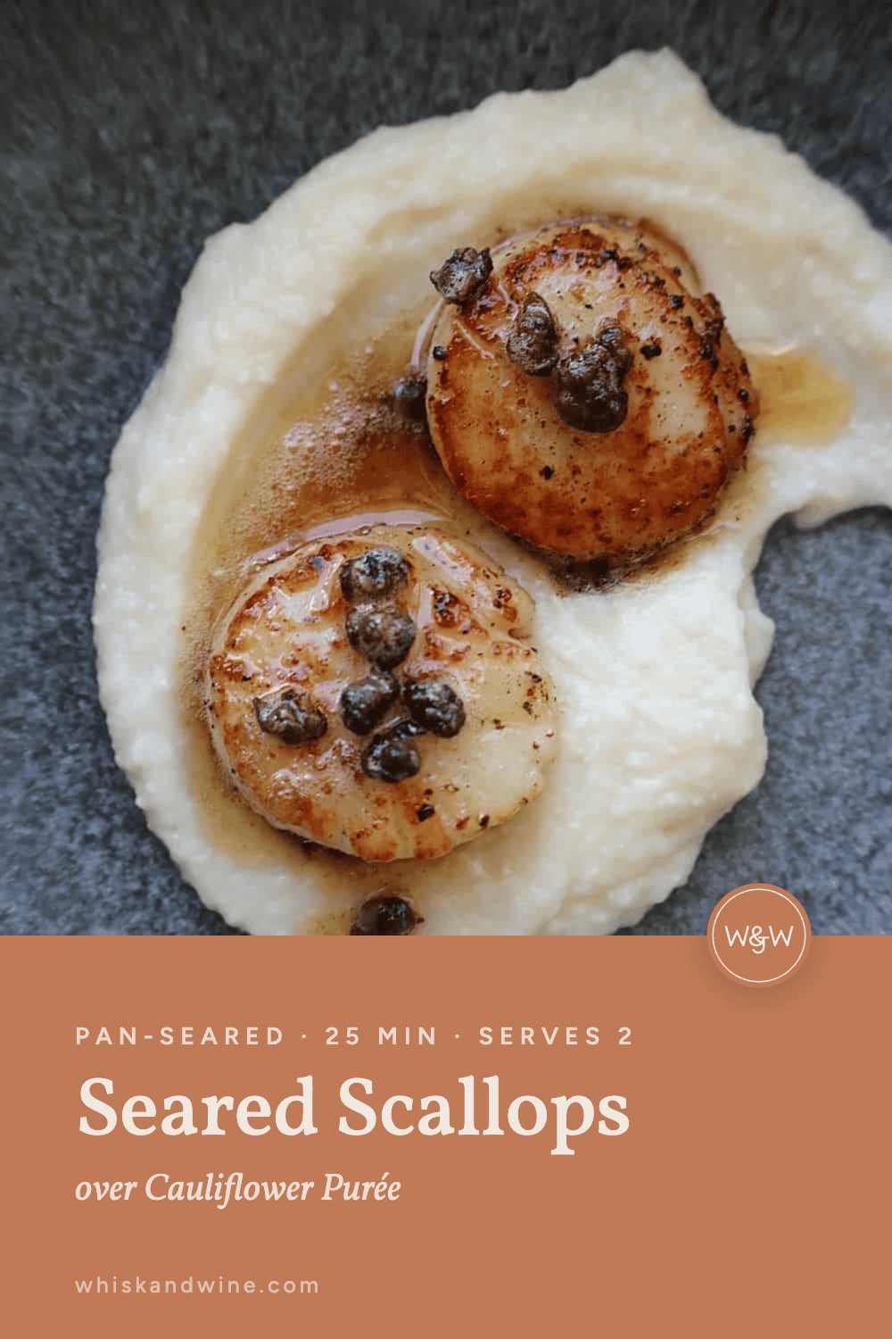 pin-w8-seared-scallops-a-hero