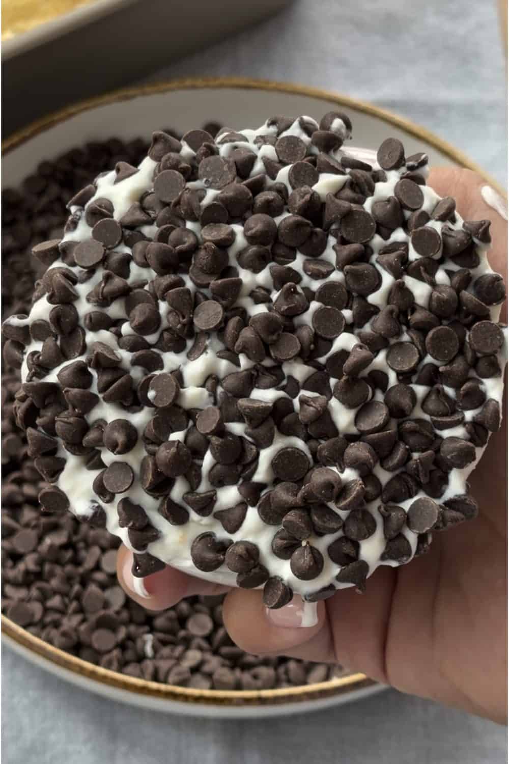 Cannoli dot cake coated in mini chocolate chips, one cut open showing the cannoli cream layers