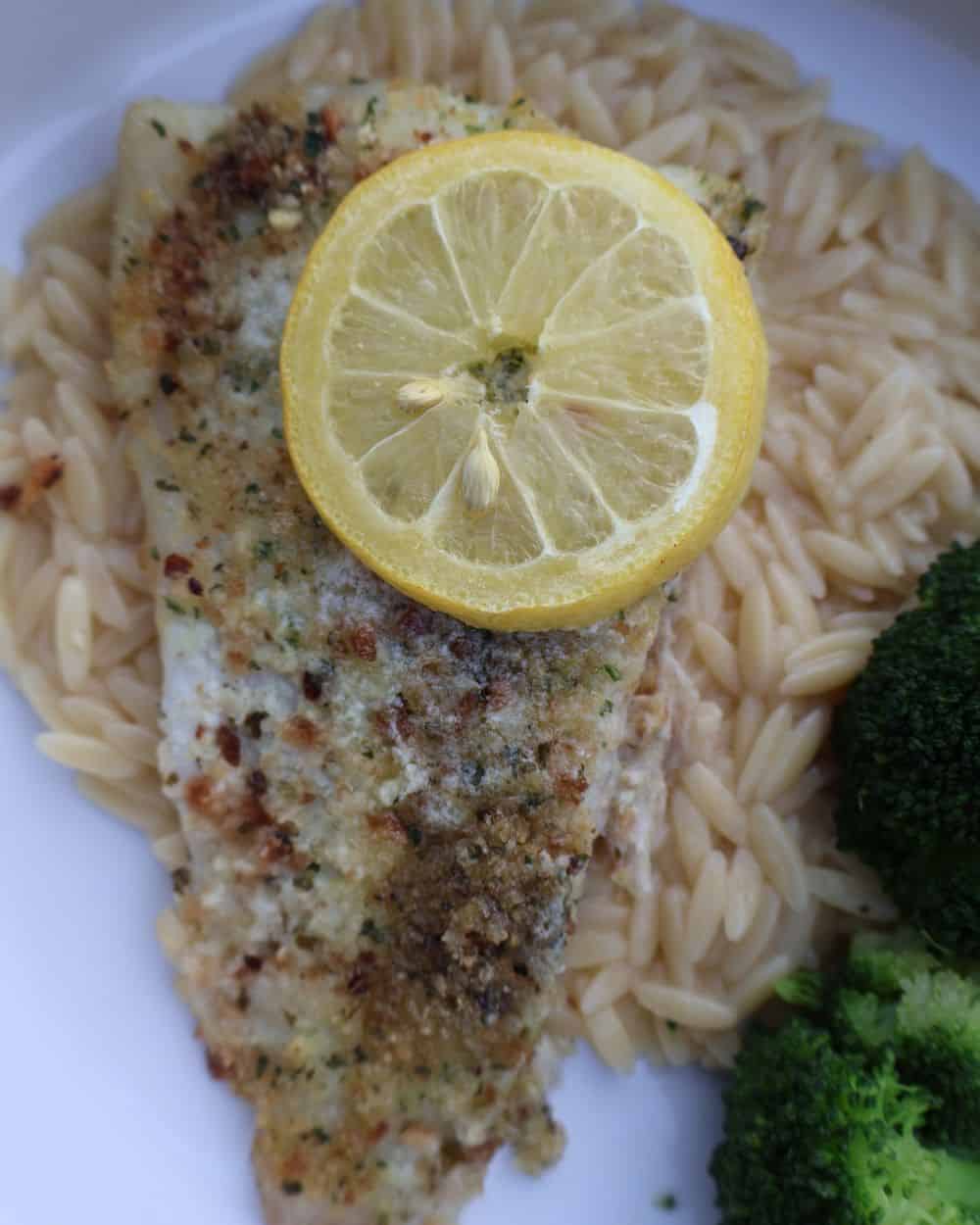 Parmesan crusted fish plated over buttery lemon orzo with broccoli