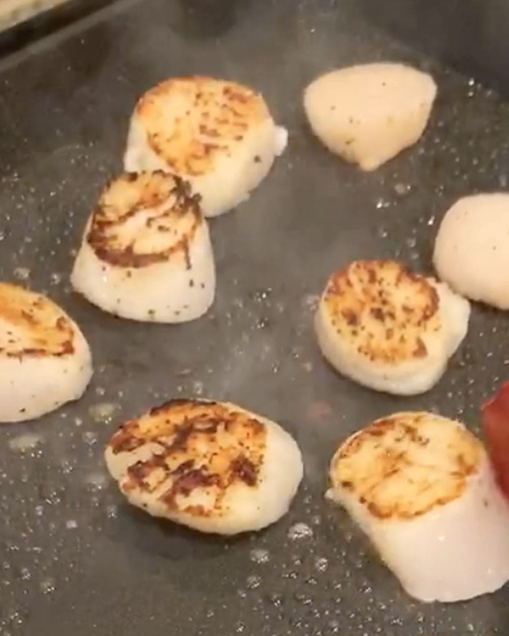 Sea scallops searing in a hot cast iron skillet until golden