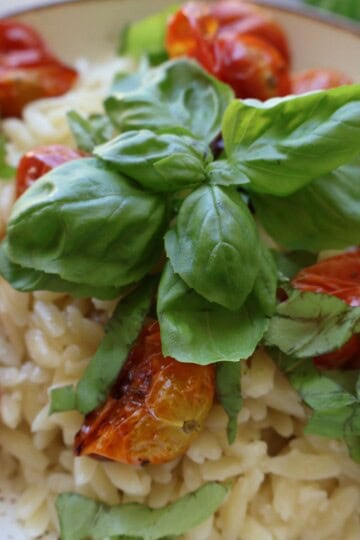 Tomato orzo with roasted cherry tomatoes and torn basil in a white serving bowl