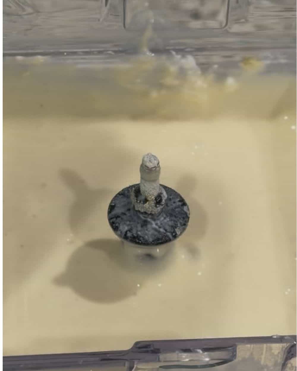 Cottage cheese pancake batter blended completely smooth in a blender jar